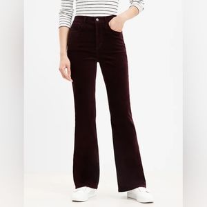 Loft Slim Flare Velvet Pants Plum Raisin 34/18